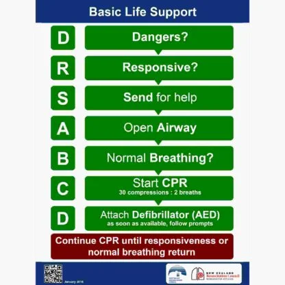 Resuscitation Chart - Drsabcd