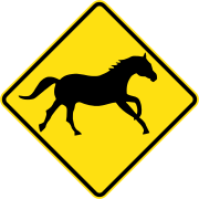 Wild Horses